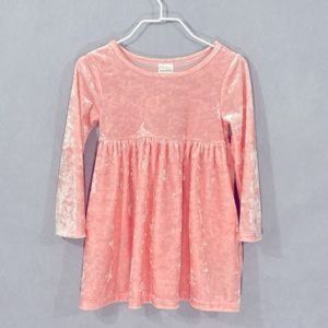 Healthtex?Velour Toddler Dress?2T